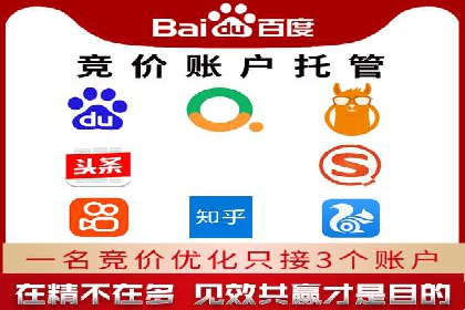 某企业通过百度SEM实现ROI最大化的案例